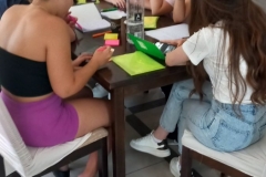 MOTSMSCEr3