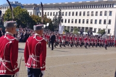 PMCS20265